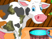 play Holstein Cow Care