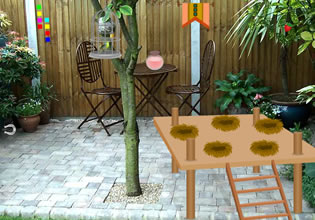 play Backyard Escape