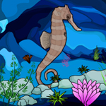 play Hidden Seahorse