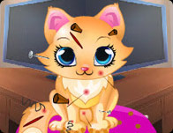 play Cute Cat Salon