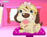 play Dog Salon