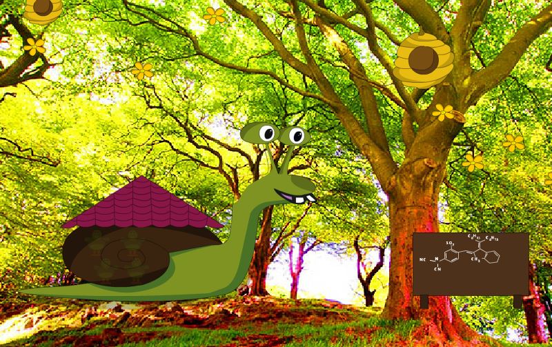 play Yippee Forest Escape