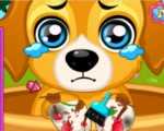 play Paw Doctor