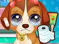 play Baby Pet Rescue Kissing