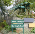 Escape From Saint Joseph Nursing School