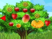 play Forest 5 Escape