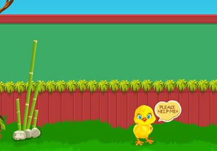 play Cute Chick Rescue
