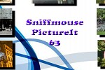 play Sniffmouse Pictureit 63