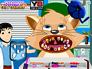 play Cat Dental Care
