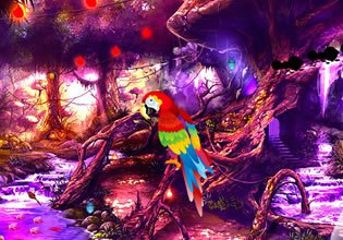 play Hog Mushroom Forest Escape