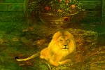 play Aslan Lion Escape
