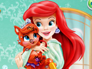 play Ariel Pet Care