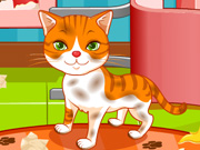 play Puppy And Kitty Salon