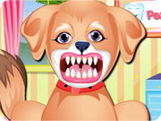 play Puppy Dental Care