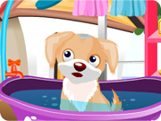 play Cute Puppy Care