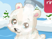 play Polar Bear Care