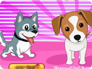 play Feed Cute Puppies