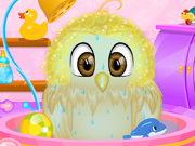 play Baby Owl Care