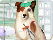 play Doctor For Dog With A Blog