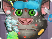 play Talking Tom Great Makeover