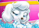 play Princess Pet Grooming