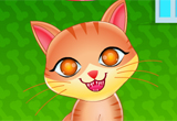 play Cute Cat Care