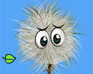 play Wind Seed