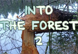 play Into The Forest 2 Game