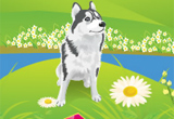 play Escape Game Husky