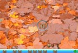 Hidden Object Insects