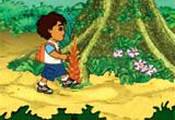 play Go Diego Go Rain Forest