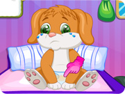 play Cute Puppy Caring