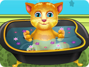 play Talking Ginger Bathing