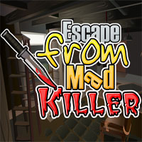 play Escape From Mad Killer