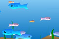 play Fishy