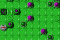 play Warp