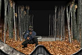 play Paintball