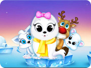 play Nola In Pet Spa Salon