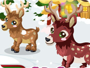 play Reindeer Care