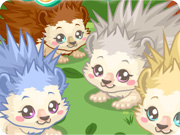 play Hedgehog Care