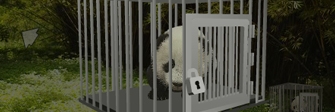 play Baby Panda Escape