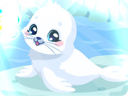 play Seal Care