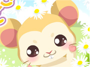 play Hamster Care