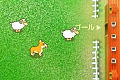 play Sheeps