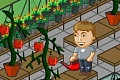play Garden