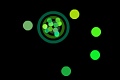 play Obechi