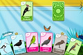 play Bird Pax
