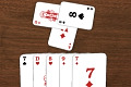 play Skat