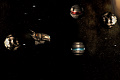 play Speedfly