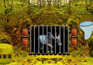 play Bull Escape